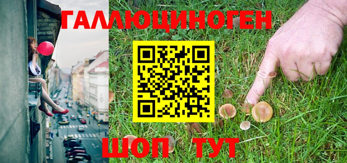 Сургут  наркота  Вход с VPN  Псилоцибиновые грибы Magic Shrooms 